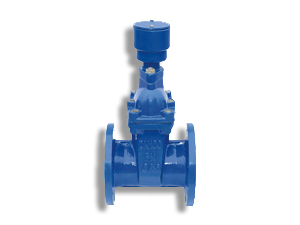 防盜閘閥-防盜彈性座封閘閥